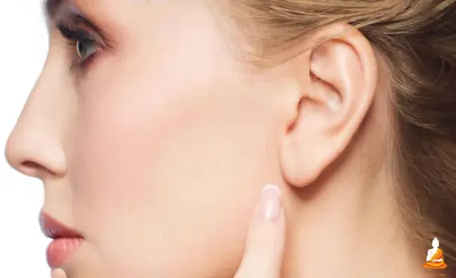 Dáng tai chuột ở nữ giới